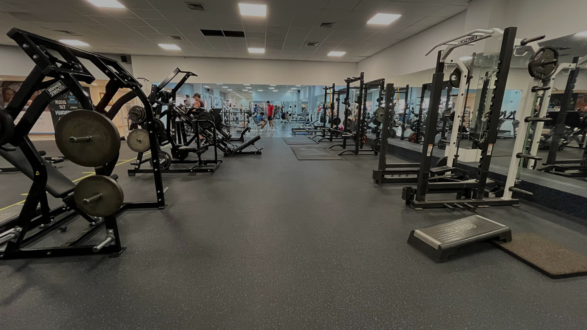 lorem ipsum dolor sit